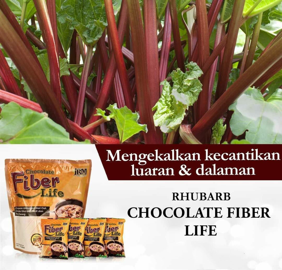 Chocolate Fibre Life